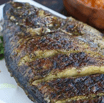Grilled Tilapia Large