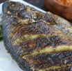 Grilled Tilapia Large